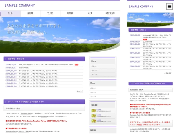 tp_biz30_purple