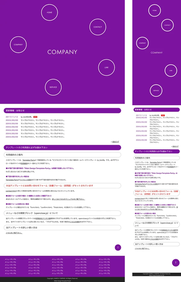 tp_biz48_purple